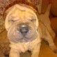 En la foto se encuentra uno de los bebes de Martina.  Nacieron el 3 de septiembre de 2009.